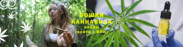 дурь Аркадак