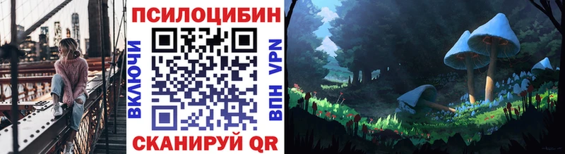 цена   Зеленодольск  Галлюциногенные грибы Cubensis 